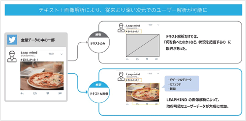 「次世代ソーシャルメディア解析ツール」による解析イメージ