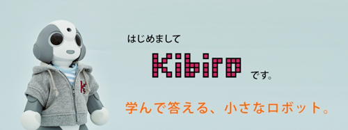 一般消費者向けKibiro 希望小売価格150,000円+サービス利用料5,000円/月(税別)