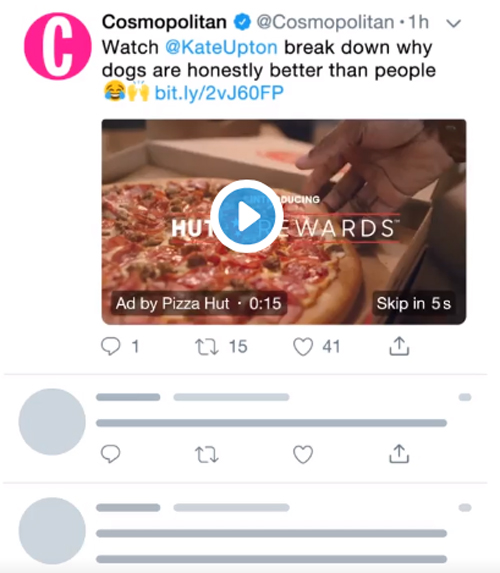 Twitterのインストリーム動画広告イメージ