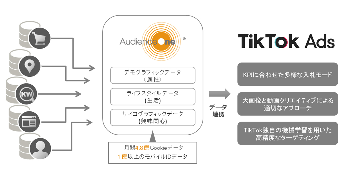 Tiktok Ads Audienceoneの属性 興味関心 ライフステージ 購買データを活用可能に Markezine マーケジン