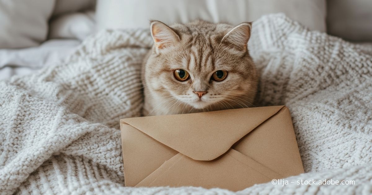 こねこ便」と「レターパックライト」の違いは？ 送料やサイズを比較